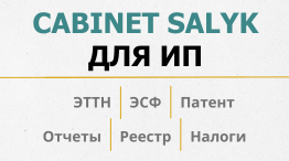 Cabinet salyk для ИП